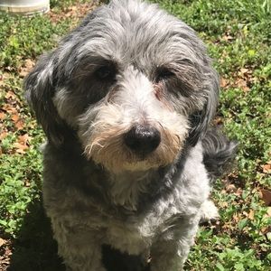 Meet your Posher, Hannahjoan